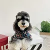Luxe ontwerper huisdierkleding hondenhemd trendy kleine hond bichon schumnauzer teddy pomeraniaanse grote hondengigant dure kat stijlvolle Franse bulldog