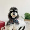 Lyxdesigner husdjurskläder hundskjorta trendig liten hund bichon schumnauzer neddy pomeranian stor hund jätte dyr katt stilfull fransk bulldogg