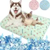 Kattbäddar möbler husdjur hund matta kylning sommarmatta hund mat katt filt soffa andningsbar hund säng sommar tvättbar liten till medelstora stora hundar