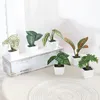 Decorative Flowers 1 SET (6PCS) Simulated Plant Potted Plants Placed On The Desk Foyer Garden And Courtyard Of Business Offices