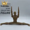 YYC-003 1/12 scale male solid flexible joint wide shoulder narrow waist muscle 6 action diagram model 240513