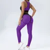 Ensembles actifs Suit pour femmes pour le fitness Mesh Gym Womens Tenues Transparent Sport Leggings Set 2024 Two Piece Workout Clothes Purple