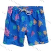 Schwimmstüle Designer-Shorts Männer Luxus Jogginghose Mode Strandhose Brache Hose Sommerzeit Sportler Rapid Trockenhose M-4xl