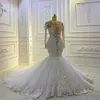 Robes de mariée de sirène exquise