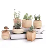 SUNE 6 in Set 3 Inch Ceramic Wooden Pattern Succulent Plant Pot Cactus Plant Pot Flower Pot Container Planter Gift Idea Y2007232991300