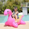 Надувная езда на игрушках Red Red Dragon с ручками для бассейна плавает для детей летние плавание плот веселые пляжные бассейны украшения 240514