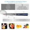 Damascus Paring Knife Fruit Knife 3.5 Inch Pro Kitchen Knife Japanese Damascus High Carbon Steel 67-Layer Fruit Carving Knife