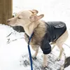 Vêtements pour chiens hiver en manteaux chauds de animaux de compagnie au vent imperméables