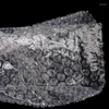 Aufbewahrungstaschen 100pcs PE -Schutzhüllhülle weißer Blasenschaum verpacken klaren schocksicherer Beutel Doppelfilmpolsterung