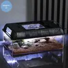 Przezroczysty LED światło gadów zwierząt Pet Cage oddychający karmiący przenośny pudełko lampy żaba wąż