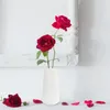 Vasos vaso quarto sala de estar de cabeceira mesa de flores de plantio de garrafa de decoração de decoração de recipiente doméstico acessório