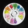 Adesivos de janela 18pcs/roda 3d Flor seca Decoração de unhas Blossom Daisy Flor Floral Slider Sticker Summer Manicure Tools