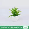 Flores decorativas Mini plantas artificiais de aloe ousai pequeno maconha de árvore simulada Mesa de escritório em vasos de ornamentos de decoração de casa acessória