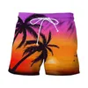 Mäns shorts 2024 Tropics Hawaii Beach Men Summer Board Casual Holiday Swim Trunks 3D Print Y2K Surf Swimsuit Homme Short Pants