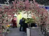 30pcs Artificial Cherry Blossom Branch Flower Wall Hanging Sakura 150cm for Wedding Centerpieces Artificial Decorative Flowers7327844