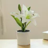 Decoratieve bloemen kunstmatige interieur decoratie plastic decoreren potplant voortreffelijk vakmanschap productnaam productiebatches