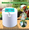 Automatic Watering Device Watering Device Drip Irrigation Tool Water Pump Timer system for Succulents Plant Y2001068508429