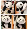 Jouet en peluche de chat peut vieillir la simulation de fleurs géant panda poupée poupée lance-oreiller cadeau