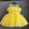 Kız Dresses Flower Girl Bebek Doğum Günü Partisi Balo Giz Dress Girl Campus Mezuniyet Töreni Dantel Kabarık Kafes Prenses Elbise Y240514