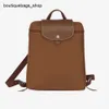 Luxury Leather Designer Brand Kvinnspåse Double Shoulder Nylon Waterproof Folding Backpack42F1