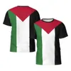 Camisetas masculinas bandeira palestina 3d masculino de verão casual de mangas curtas Harajuku Roupas de rua Q240514