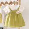 Flickas klänningar 0-4y elegant baby klänning spets docka söt fest barnkläder blomma prinsessor kläder flickor barnkläder a1177 d240515