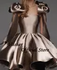 Viisher Brown Short Homecoming Prom Dresses with Bow Pockets Strapless Evening Party Dress Above Knee Graduation Event Gowns 240514