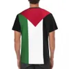 Camisetas masculinas bandeira palestina 3d masculino de verão casual de mangas curtas Harajuku Roupas de rua Q240514