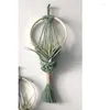 Tapestries Colorful Macrame Air Plant Holder Boho Wall Hanging Tapestry Pod Hanger Tassel Flower Basket Net Bag Woven Art Home Decor