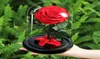 Eternal Rose Flower With Dome Glass Black Base Artificial Flowers Gift för Valentine039S Day Christmas Gift Home Decoration T204375619