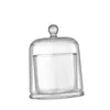 Bottles Glass Cloche Dome For Home Decor Transparent Bell Jar Display Case Small