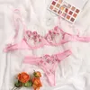 Sexe Set Bra Brief Set Femme 2 PCS Lingerie Sexy Floral Brodemery Underwear Mesh intime en dentelle transparente