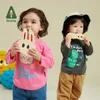 Pullover Amila Boys and Girls T-Shirt 2023 Autumn Multi Color Set 100 ٪ Cotton Fashion Round Dount Baby Clothing Baby Clothingl240502
