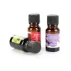 Ätherische Öl natürliche Öle reine Pflanzen Lavendel 10 ml Luftbefeuchter Aromatherapie Diffusoren gesund beruhigen Luft Frischpflegeabfall Abgabe HEA DHYY6