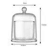 Bottles Glass Cloche Dome For Home Decor Transparent Bell Jar Display Case Small