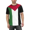 Camisetas masculinas bandeira palestina 3d masculino de verão casual de mangas curtas Harajuku Roupas de rua Q240514