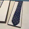 Uomini di lusso lega la cravatta di seta di moda cravatta jacquard classica cravatta fatta per uomini per uomini affari casual
