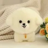 Kawaii Teddy Pets Lifelike puszysty szczeniak miękka lalka urocza małe chow pomeranian corgi Yorkie Plush Toys z urokiem prezent dla dziewczyny