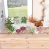 Dekorativa blommor 12st mini konstgjorda vintergröna växtkomponenter diy hantverksdekoration för krukvikroscener (exklusive vaser)
