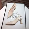 Beige Naked Black French Pointed Dress Shoes Womens High Heel Straight Line Strap Thick Heels Toe Wrap and Hollow Back Sandal Woman Fasrhce# 4F71 S Sal