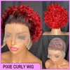Vonder Hair Maleisische Peruaanse Indiase Braziliaanse 1B Red 100% RAW Virgin Remy Human Hair Pixie Curly Cut 13x1 Korte pruik P33
