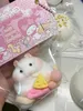 Decompression Toy Taba Squishy Mushy Silicone Mo Fuzzy Cute Hamster Handmade Tabby Pressure Release Hand Relaxation Gift H240516