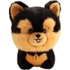 Kawaii Teddy Pets Lifelike puszysty szczeniak miękka lalka urocza małe chow pomeranian corgi Yorkie Plush Toys z urokiem prezent dla dziewczyny