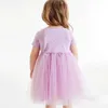 Vestidos de menina Little Maven 2024 Meninas Roupas de garotas verão Rainbow Mesh Purple Princess Dress Girls Dress 2023 Wedding Party Dress for Kids Summer WX