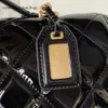 10A Retro Mirror Quality Designers Backpack Style Fashion Bags Shinning Cow Leather AS3662 Brand Double Strap Alphabet Letter C Gold Charm