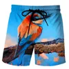 Męskie szorty zabawne kaczka graficzna plaża dla mężczyzn 3D Drukuj dla zwierząt desek sportowy gimnastyczne puszki pływające homme fajne lodowe spodnie