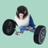 Autres fournitures d'oiseau créatives pour animaux de compagnie Balance Balance Cartes de voiture Petites