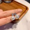 Collar de pendientes de perlas de concha de agua dulce natural para mujeres