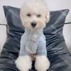 Designer Pet tricoté écharpe colorée 9 couleurs de chien de chien coulable logo Bibclassic Logo brodés en peluche