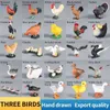 Neuheit Games Simulation Geflügelbaumtiere Model Duck Gans Schwan Henne Hühnchen -Action -Figuren Bildungskollektion Spielzeug Weihnachtsgeschenk für Kinder Y240521